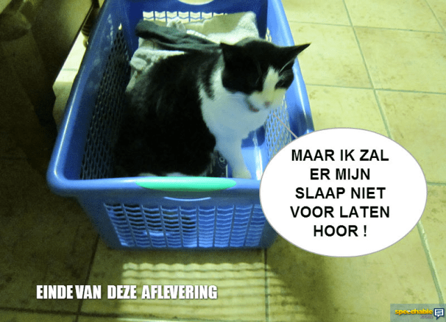 8427957848_50e7b8096a_o