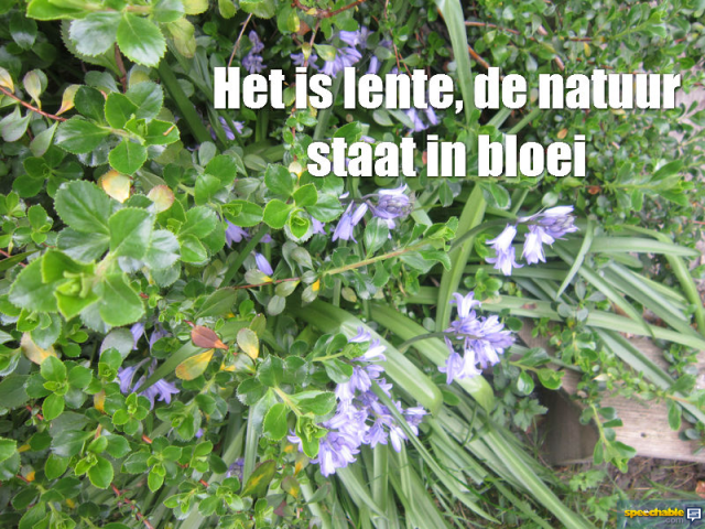 13971905323_c3b1de83a4_o