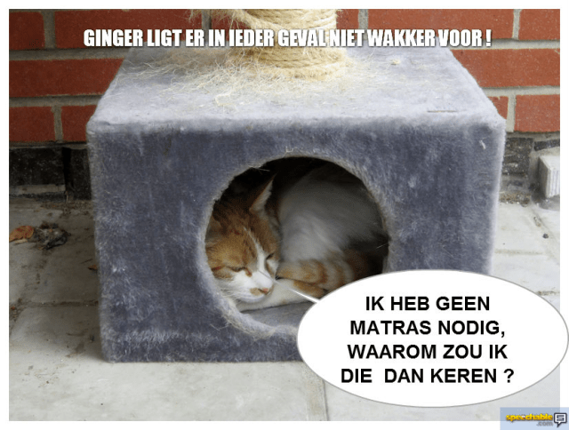 13972353953_0faeea10ef_o