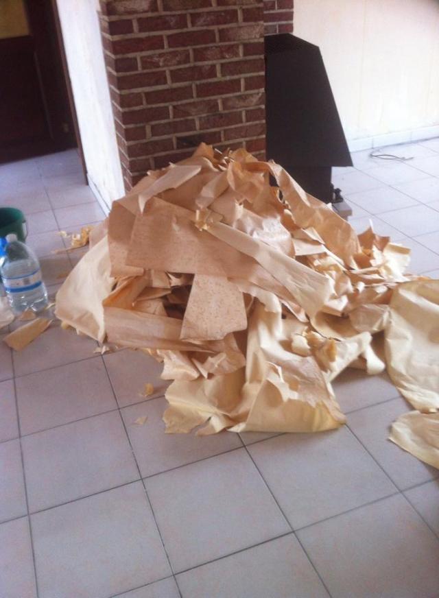 11182225_10200379334763859_7732425448989616287_n