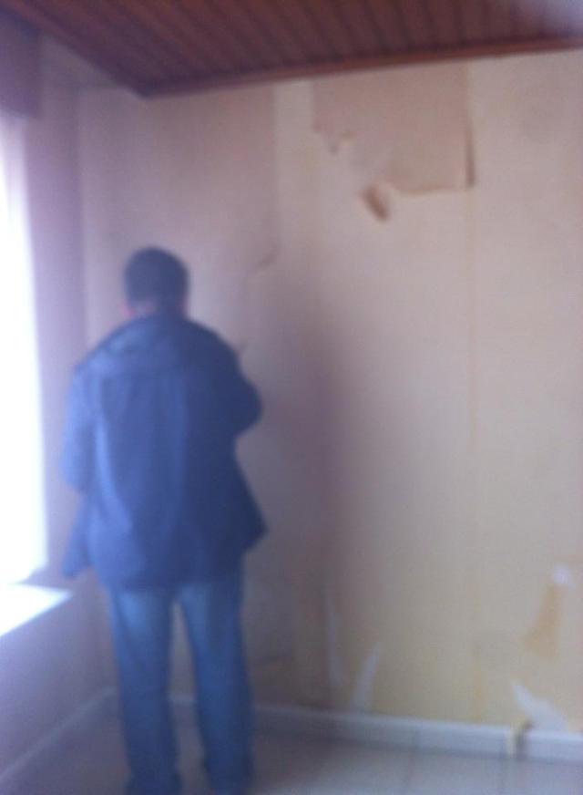 11188269_10200379330363749_5708210476425840477_n