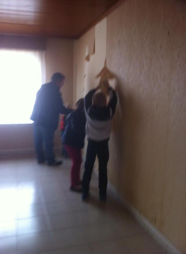 1507066_10200379329523728_8962338478562896687_n