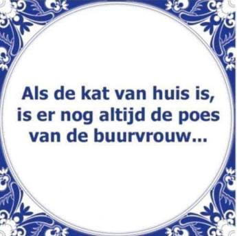 FB_IMG_1560068441338